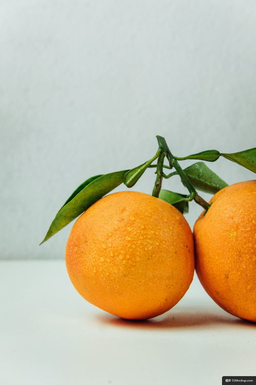 食品 水果 橙色 柑橘类水果 植物 葡萄柚 美食摄影图片